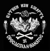 Картинка-котята-или-смерть-849442.jpeg