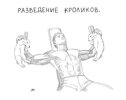 кролики-тренировка-песочница-460503.jpeg