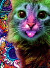 котэ-коты-правят-миром-и-едят-тебя-во-сне-песочница-382442.gif