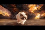 Grumpy-Cat-art-красивые-картинки-песочница-330918.jpeg