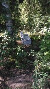 IMG_20230813_131435.jpg