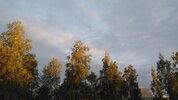IMG_20230819_203129.jpg