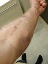 IMG_20230825_193745.jpg
