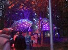 20230909_203239.jpg