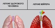 свадьба-друг-mp4-5016058.jpeg