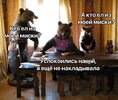 Приколы-для-даунов-разное-8087138.jpeg
