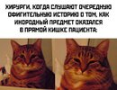 картинка-с-текстом-7884924.jpeg