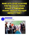 собака-наркота-аэропорт-4688969.jpeg