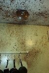 квас-ментос-фонтан-gif-4622725.jpeg