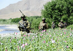 USopium6.jpg
