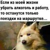 Приколы-для-даунов-разное-7824282.jpeg