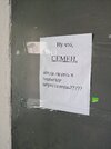 подъезд-вопрос-песочница-7745553.jpeg