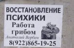 приколы-для-даунов-работа-гриб-7706666.jpeg