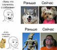 Приколы-для-даунов-разное-8118596.png