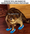 Приколы-для-даунов-разное-8123069.png