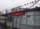 вывеска-8129248.jpeg