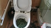 AQAGJLIIxBd3P87CLvHBe18sc6uHQEeUBIuIC2kFtfhnkDA8RpmnJB3tN430yRszyg1rmBXbAA6pfGFMH4bfVa4famY.jpg