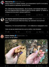 политика-Максим-Кац-майкл-наки-Любовь-Соболь-8135627.png