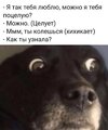 1671244979125151590.jpg