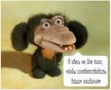загружено (42).jpg