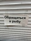 надпись-8139844.jpeg