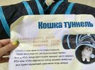 кот-тоннель-алиэкспресс-приколы-для-даунов-8138537.jpeg