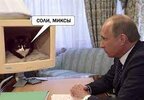 загружено (43).jpg