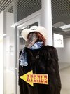 крокодил-вывеска-8151468.jpeg