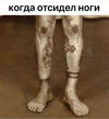 приколы-для-даунов-8155066.png