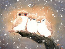 animal-art-art-Сова-птицы-8157001.jpeg