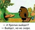 Приколы-для-даунов-разное-8159348.jpeg