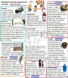 радость-счастье-песочница-948561.jpeg