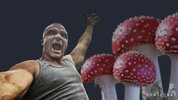 Сыр-еда-грибы-дружба-5059699.jpeg