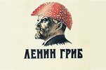 Сыр-еда-грибы-дружба-5059822.jpeg
