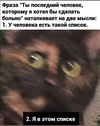 смешные-картинки-8169056.png