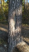 IMG_20231029_115130.jpg