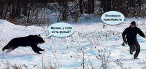 медведь-палатка-YouTube-вертикальное-видео-5064538.jpeg