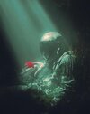 Afran3D-красивые-картинки-art-8186854.jpeg
