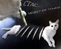 наркомания-Стас-всё-плохо-фэндомы-4069698.jpeg