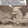 кролик-наркомания-курица-тележка-2014427.jpeg