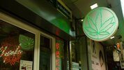 1700068784453-cannabis-leaf-outside-shop.jpg