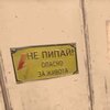 инструкция-звуковые-сигналы-пип-5088394.jpeg