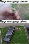 Tesla-автомобиль-5096308.jpeg