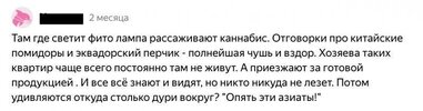 гидропоника-press-f-5107299.jpeg