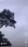 гифки-обезьяна-падение-реанимация-8289980.gif