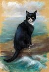 картинки-котэ-пастель-Картинка-Traditional-art-8300529.jpeg