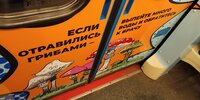 смешные-картинки-рокк-ебол-метрополитен-грибы-8326519.jpeg