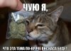 xv4ZdkNwW40.jpg