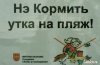 1401333999_002.jpg