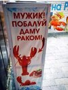 смешные-картинки-8389360.jpeg